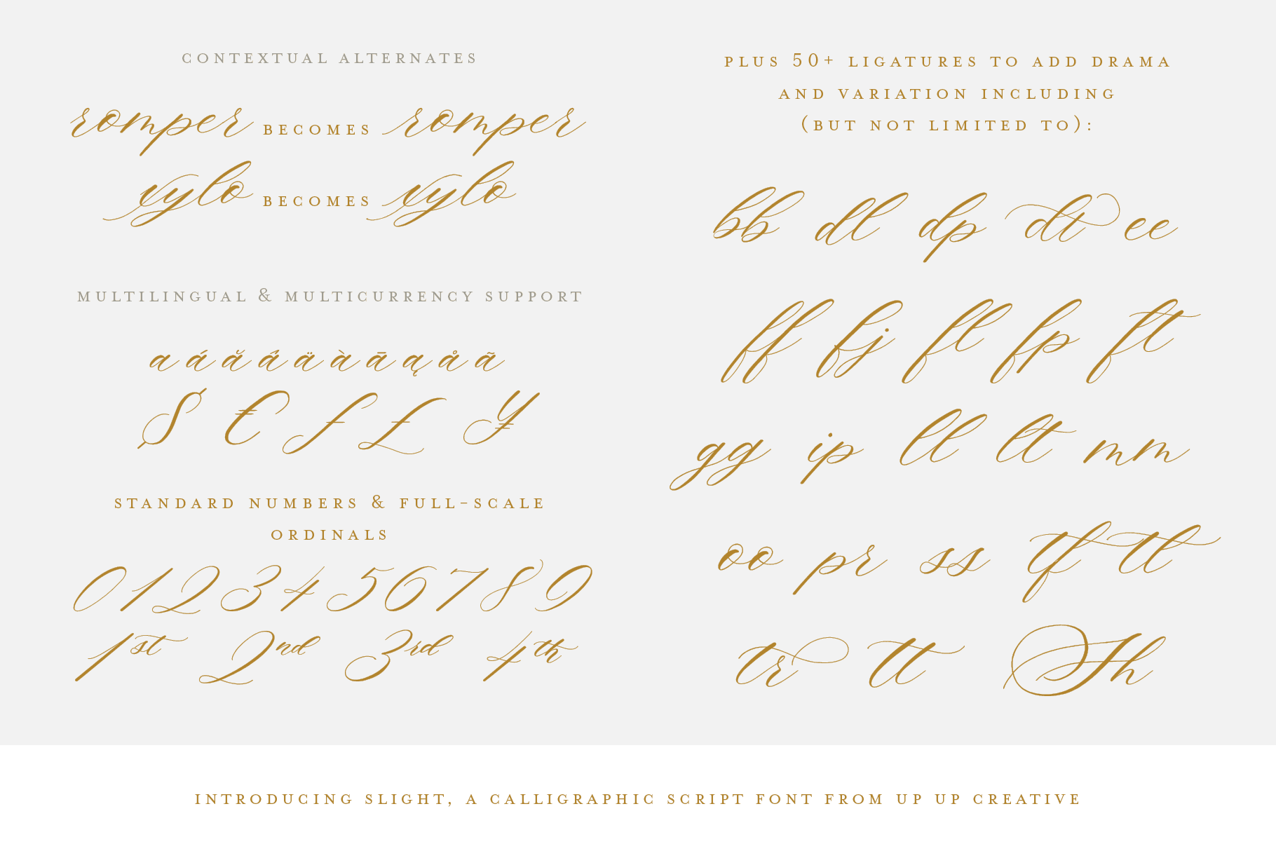 Slight Script Font - Script Font - Up Up Creative