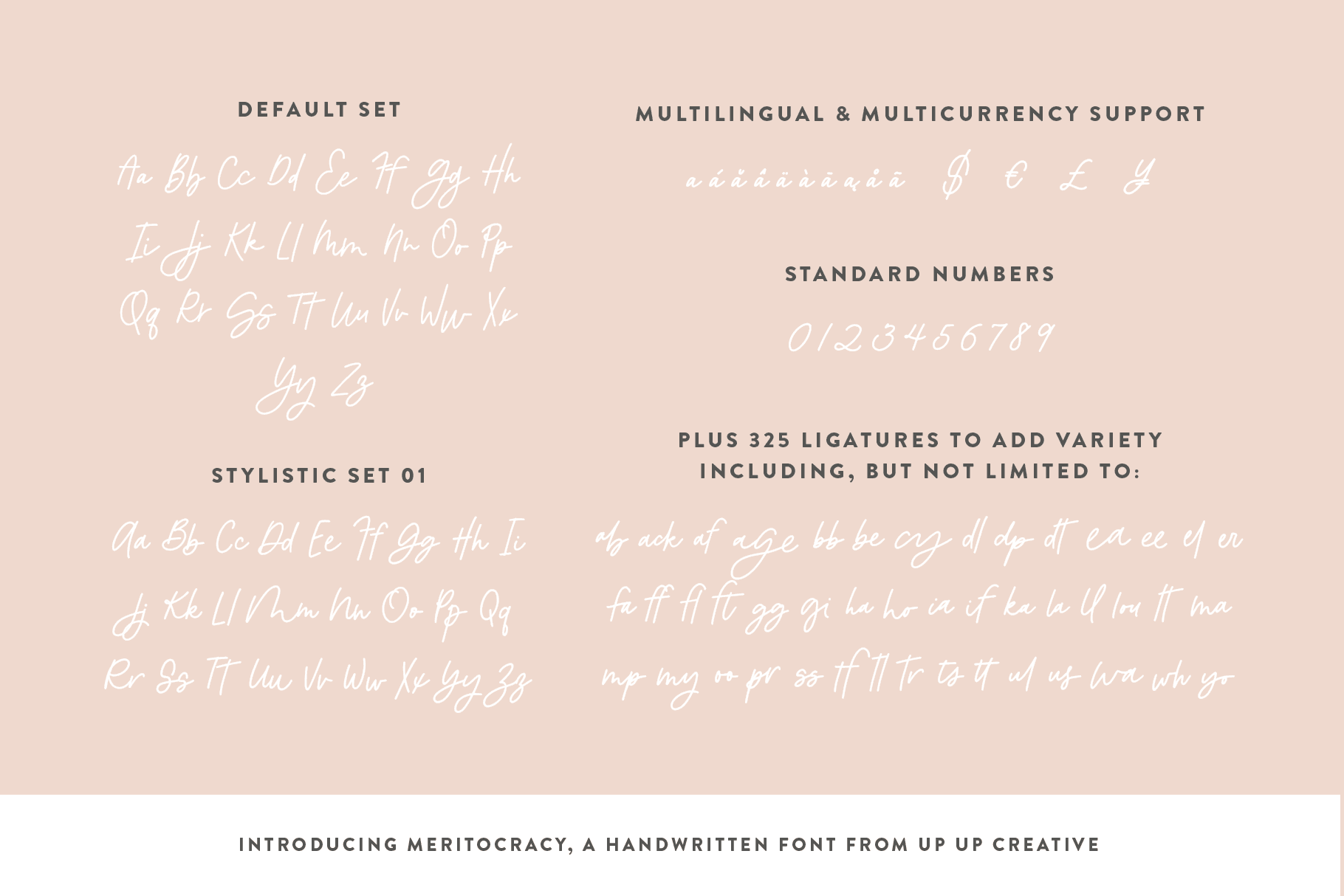 Meritocracy Script Font - Script Font - Up Up Creative