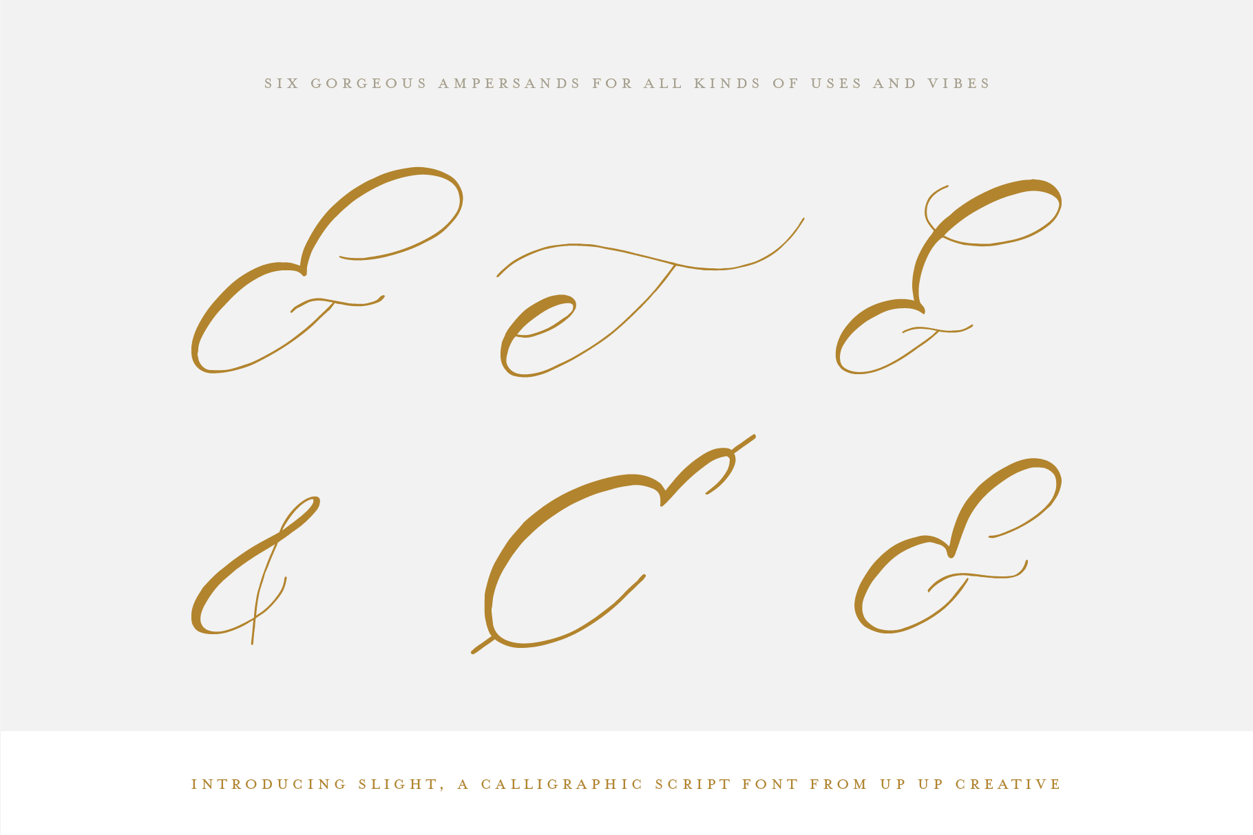 Slight Script Font - Script Font - Up Up Creative
