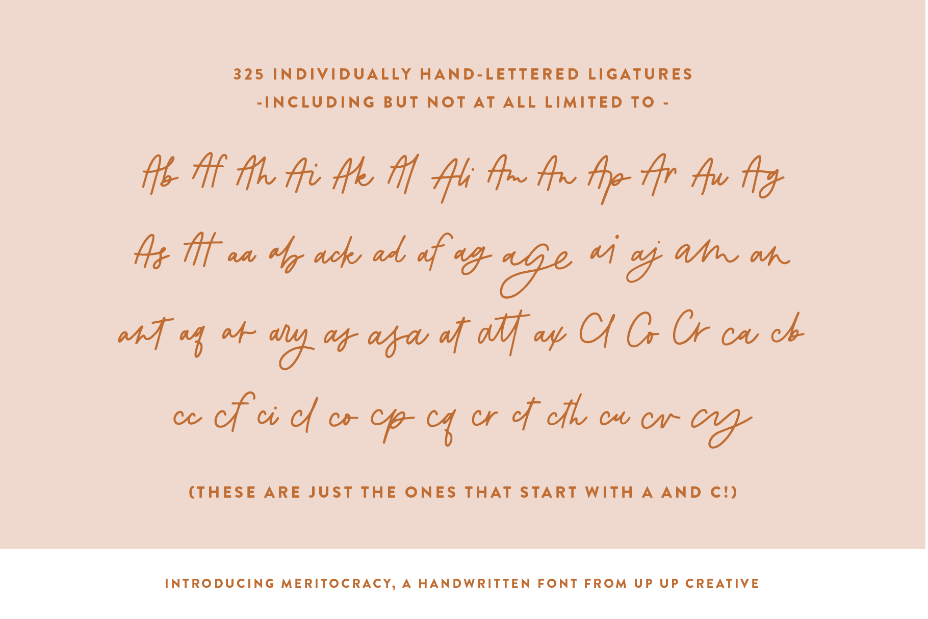 Meritocracy Script Font - Script Font - Up Up Creative