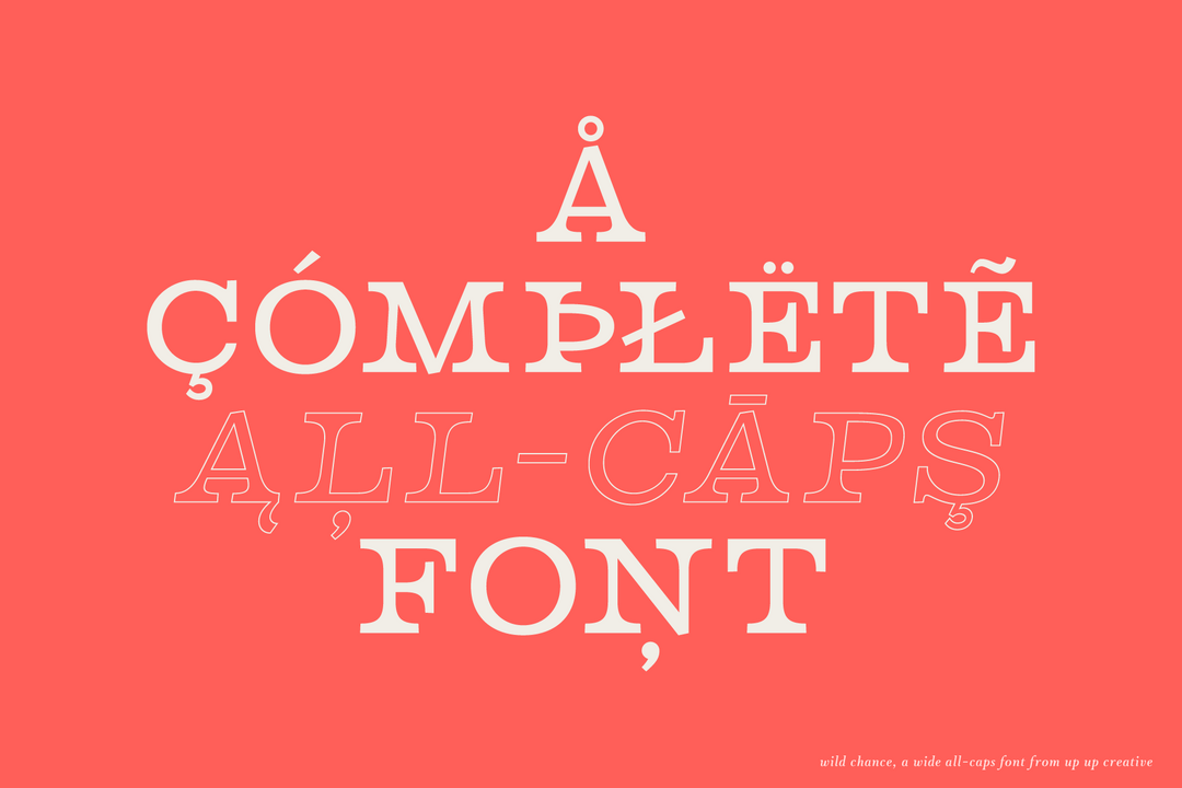 Wild Chance Complete Serif Font Family