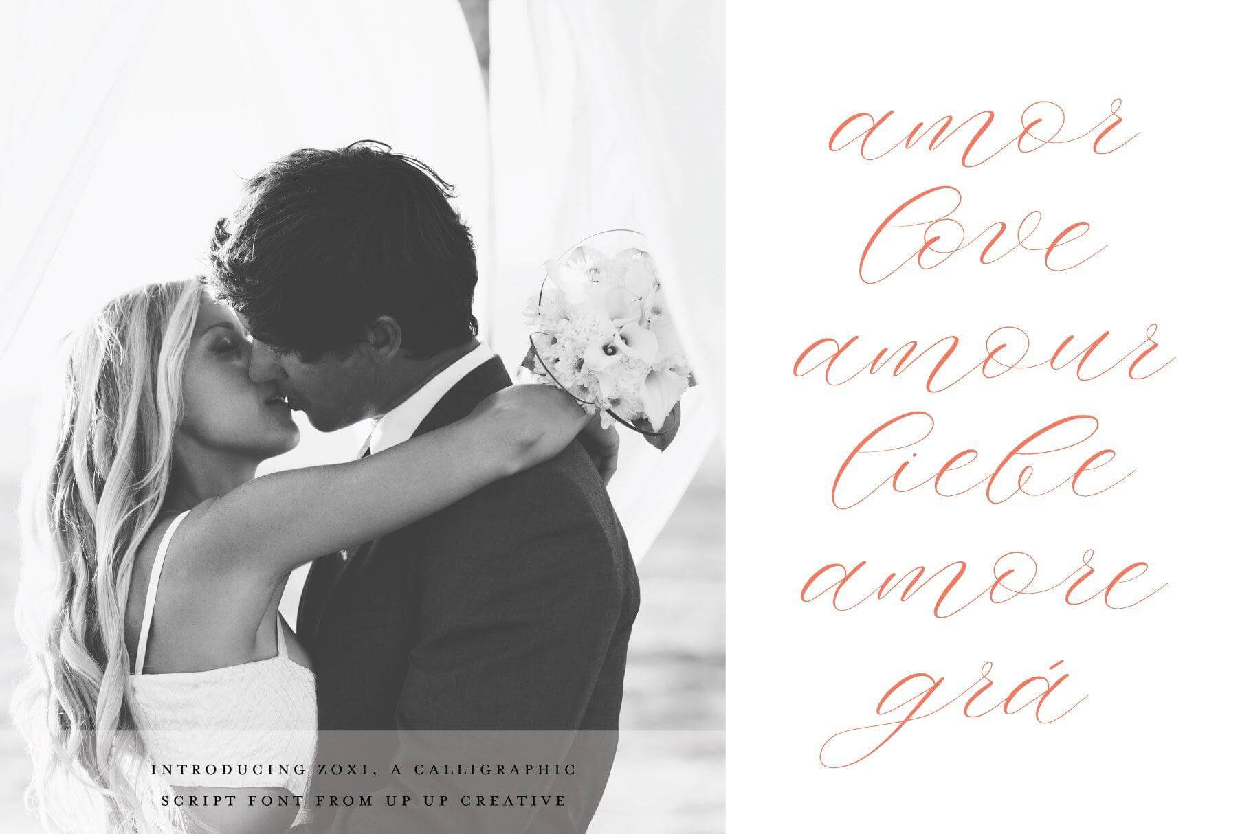 Zoxi Script Font - Script Font - Up Up Creative