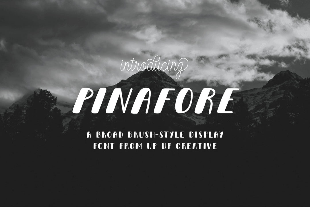 Pinafore Sans Font Family - Up Up Creative
