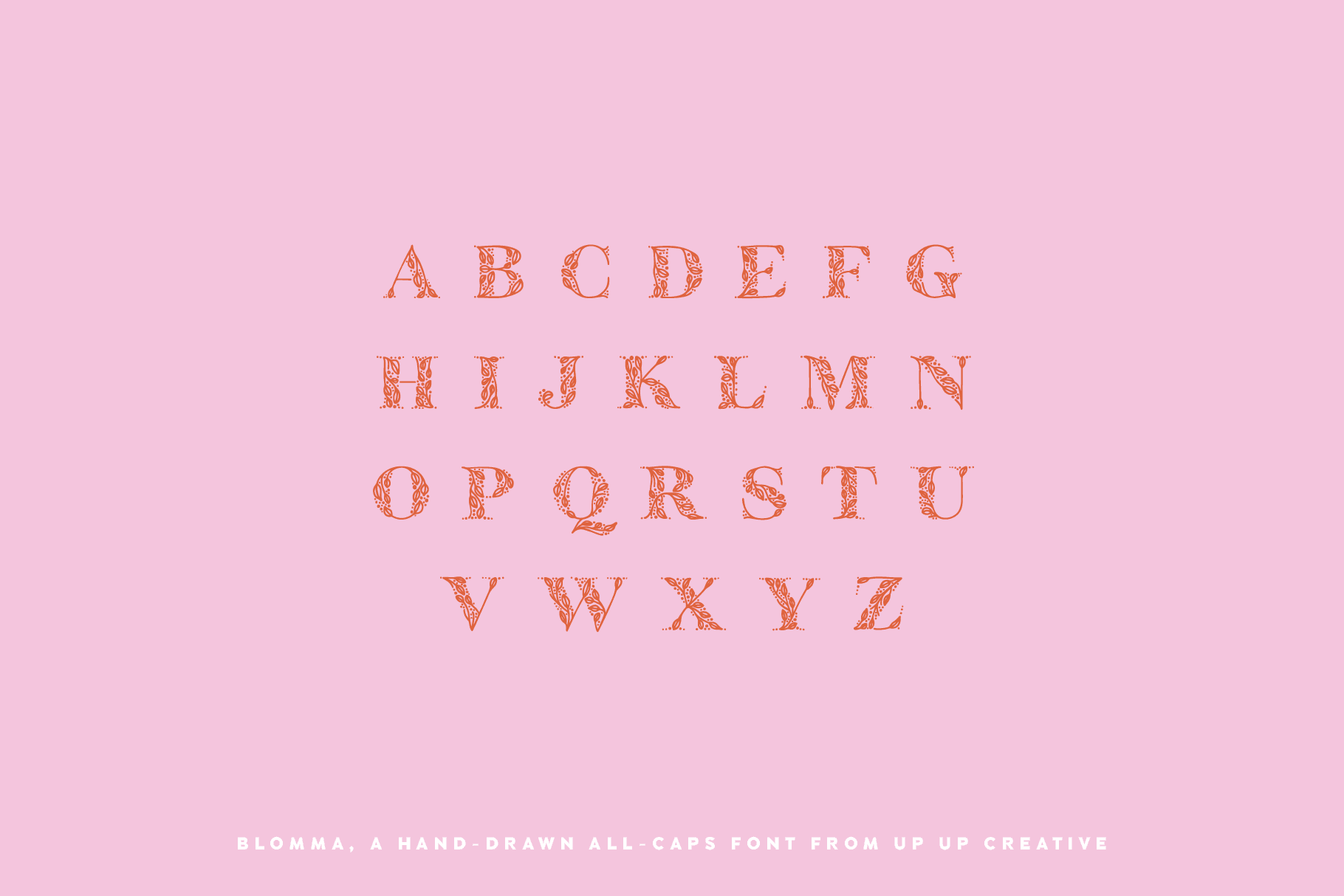 Blomma, A Hand-Drawn Display Serif Font - Serif Font - Up Up Creative