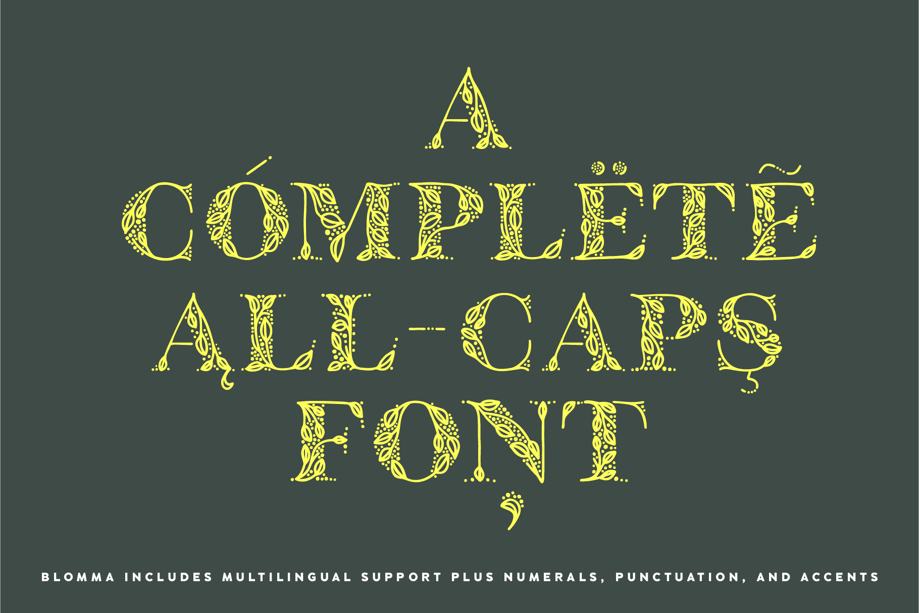 Blomma, A Hand-Drawn Display Serif Font - Serif Font - Up Up Creative