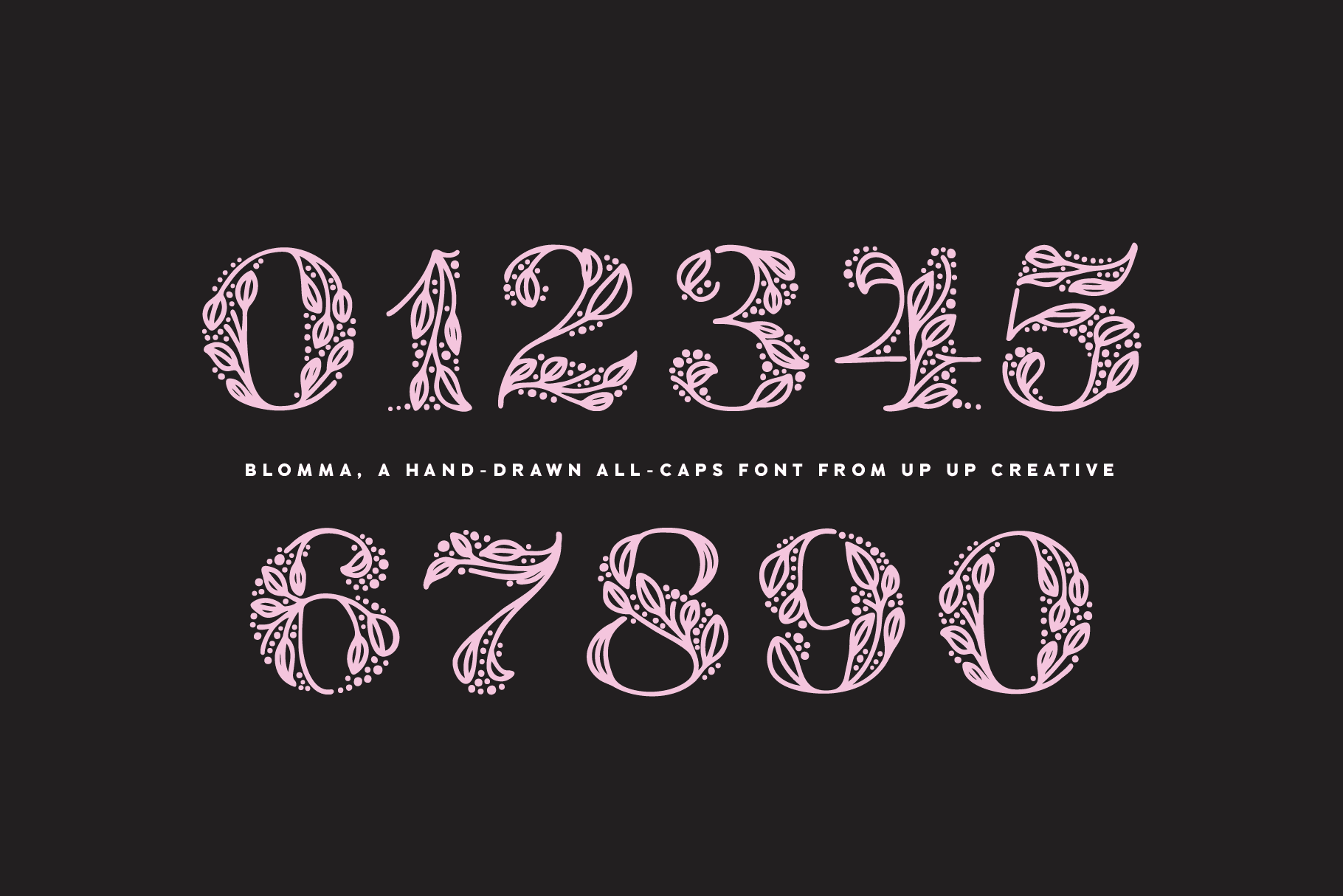 Blomma, A Hand-Drawn Display Serif Font - Serif Font - Up Up Creative