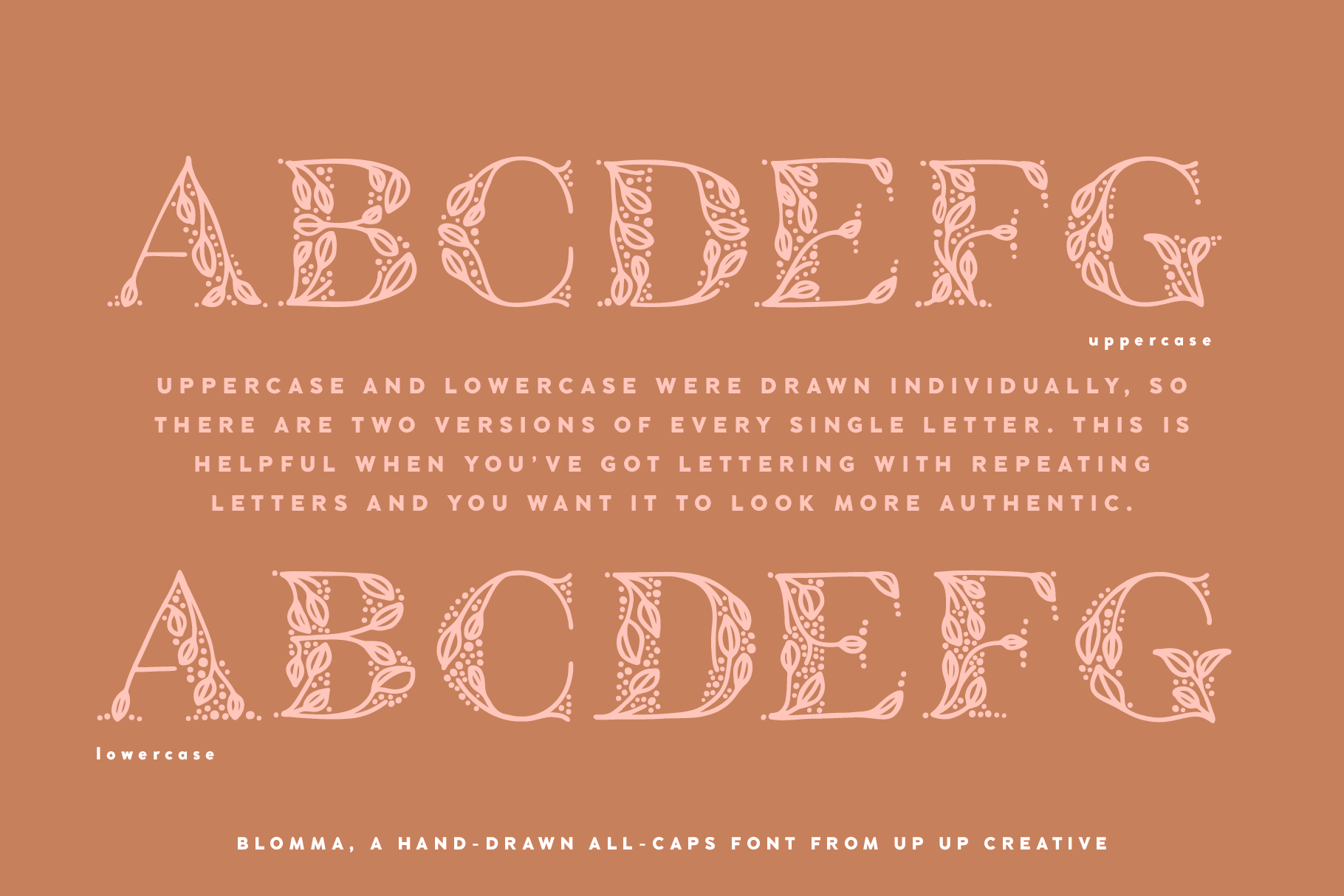 Blomma, A Hand-Drawn Display Serif Font - Serif Font - Up Up Creative