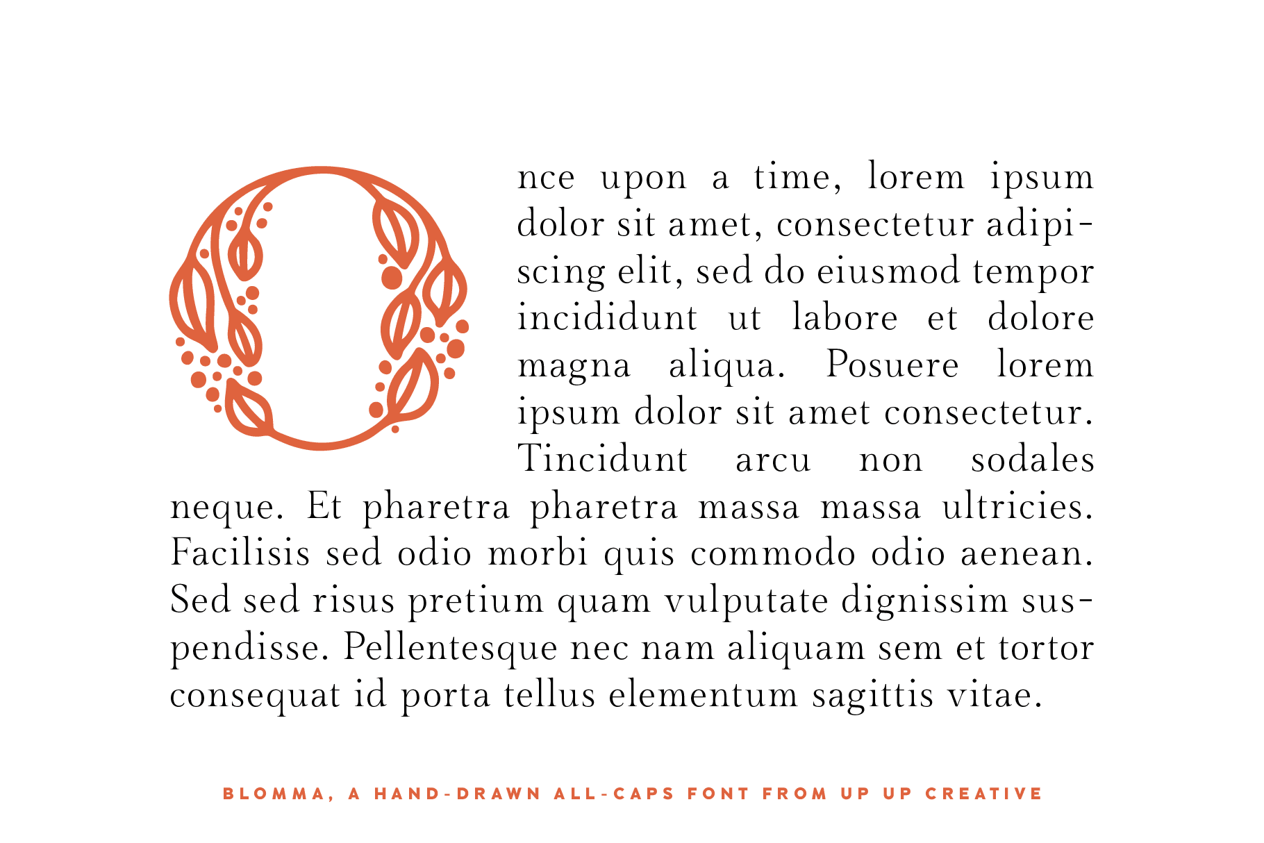Blomma, A Hand-Drawn Display Serif Font - Serif Font - Up Up Creative