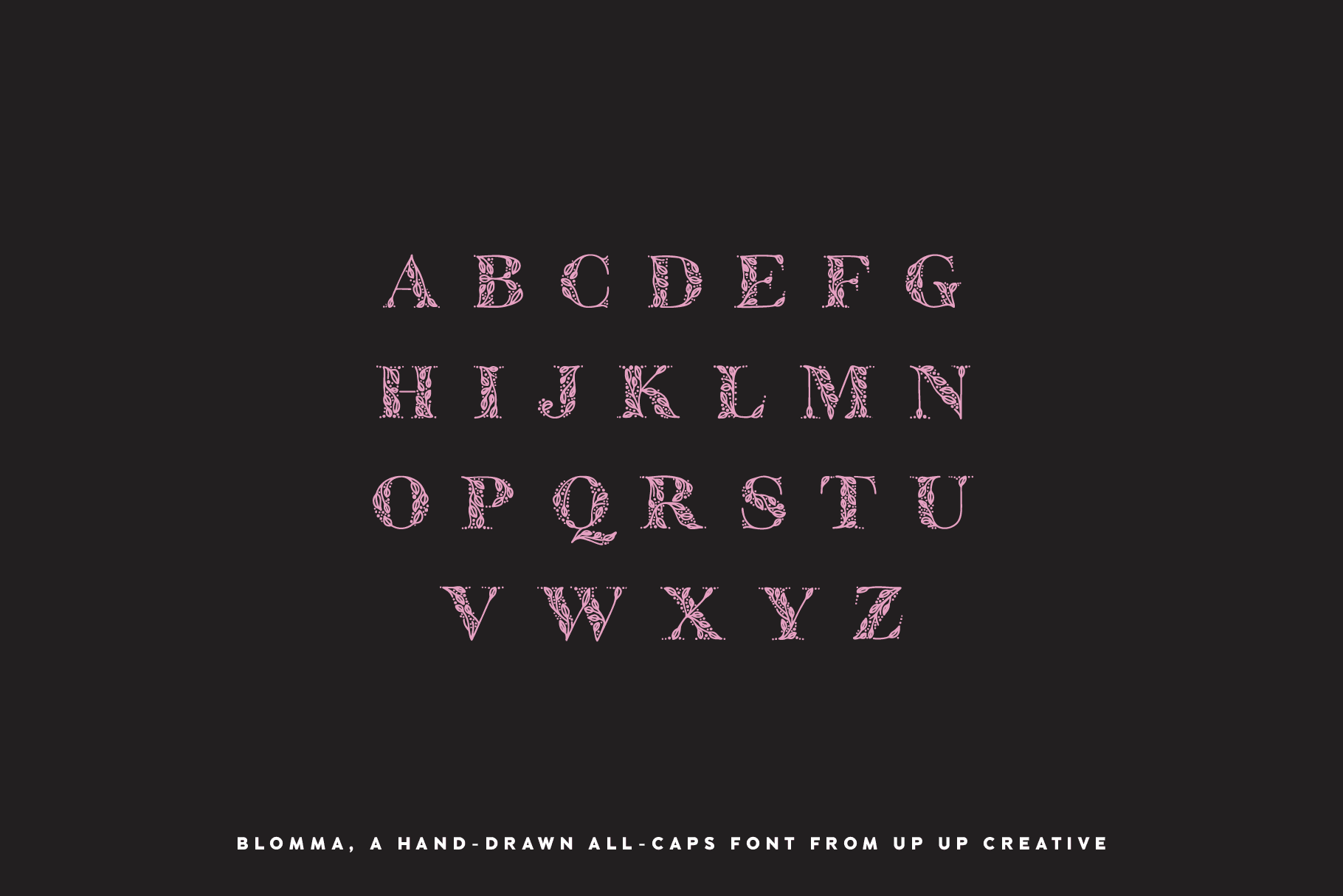 Blomma, A Hand-Drawn Display Serif Font - Serif Font - Up Up Creative