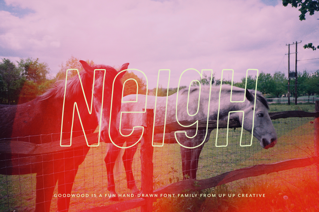 Goodwood Sans Serif Font Family