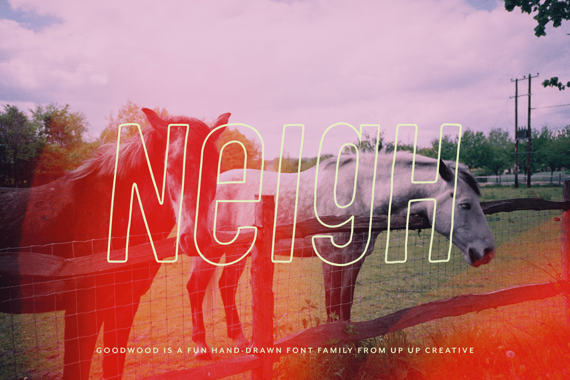 Goodwood Sans Serif Font Family