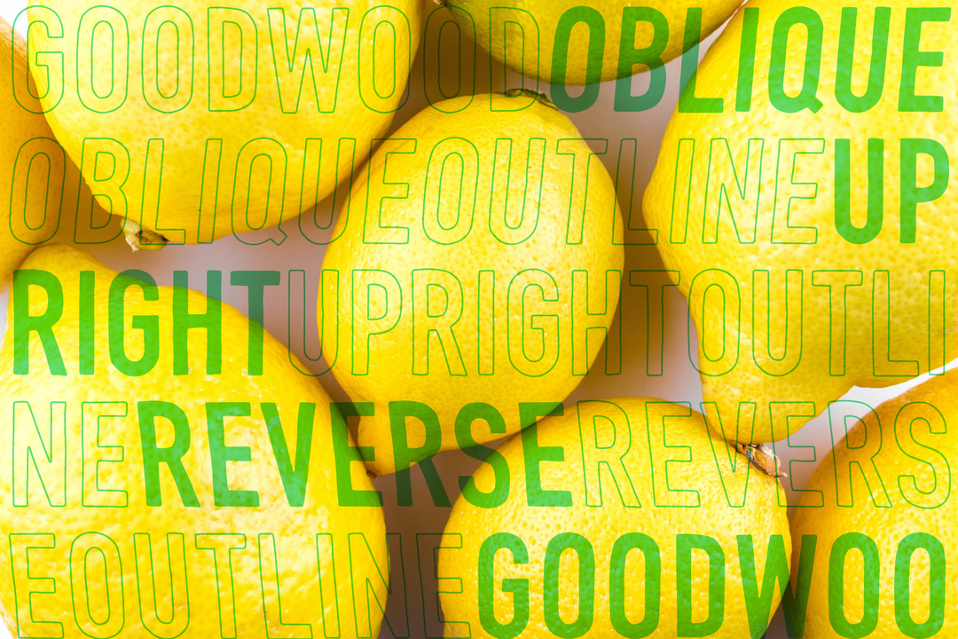 Goodwood Sans Serif Font Family