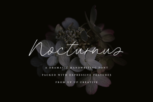 Nocturnus Handwritten Script Font