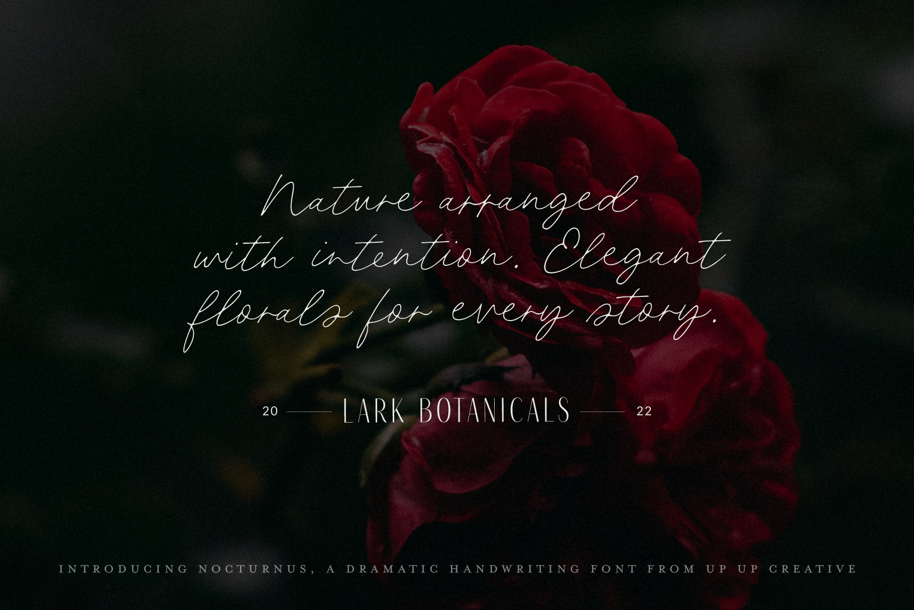 Nocturnus Handwritten Script Font