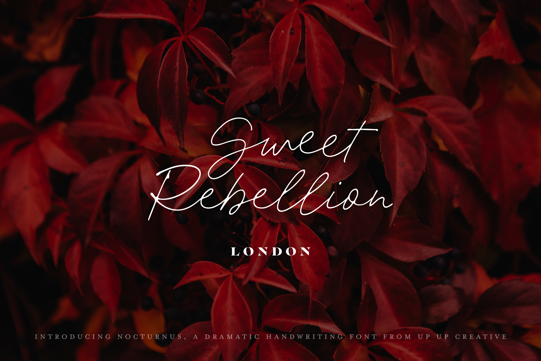 Nocturnus Handwritten Script Font