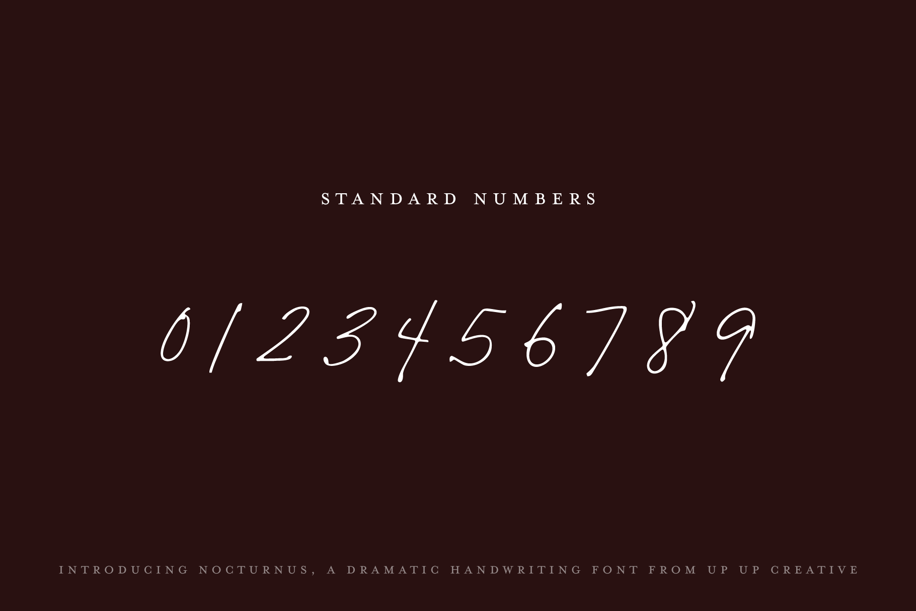 Nocturnus Handwritten Script Font
