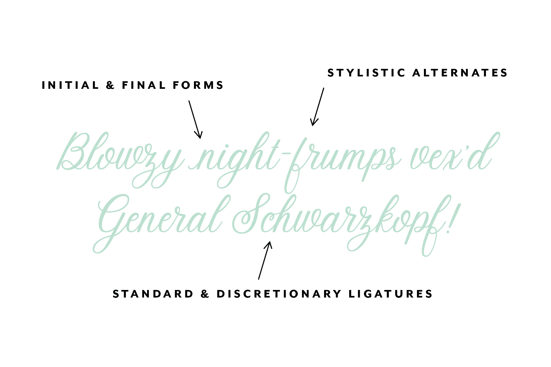 Stoic Script Font - Script Font - Up Up Creative