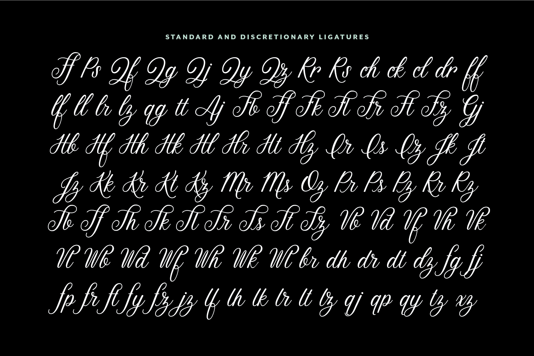Stoic Script Font - Script Font - Up Up Creative