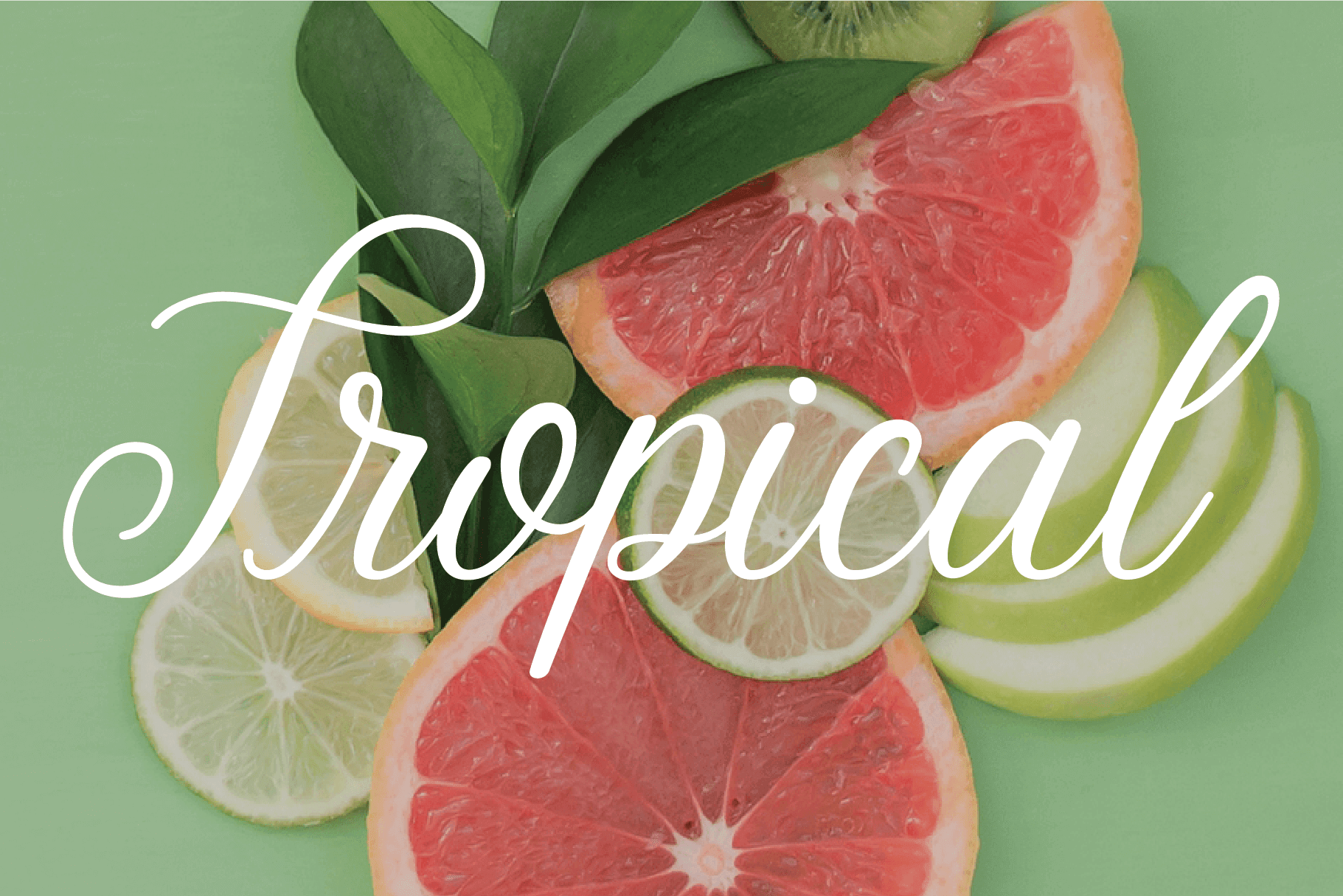 Stoic Script Font - Script Font - Up Up Creative