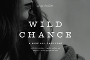 Wild Chance Complete Serif Font Family - Serif Font - Up Up Creative