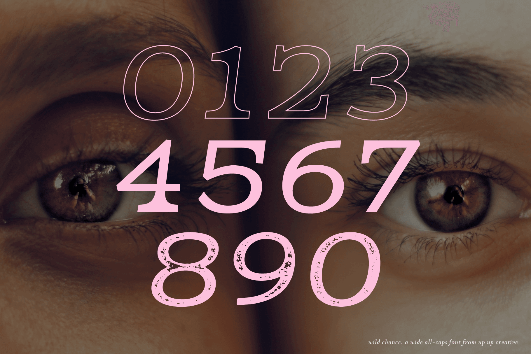 Wild Chance Complete Serif Font Family - Serif Font - Up Up Creative