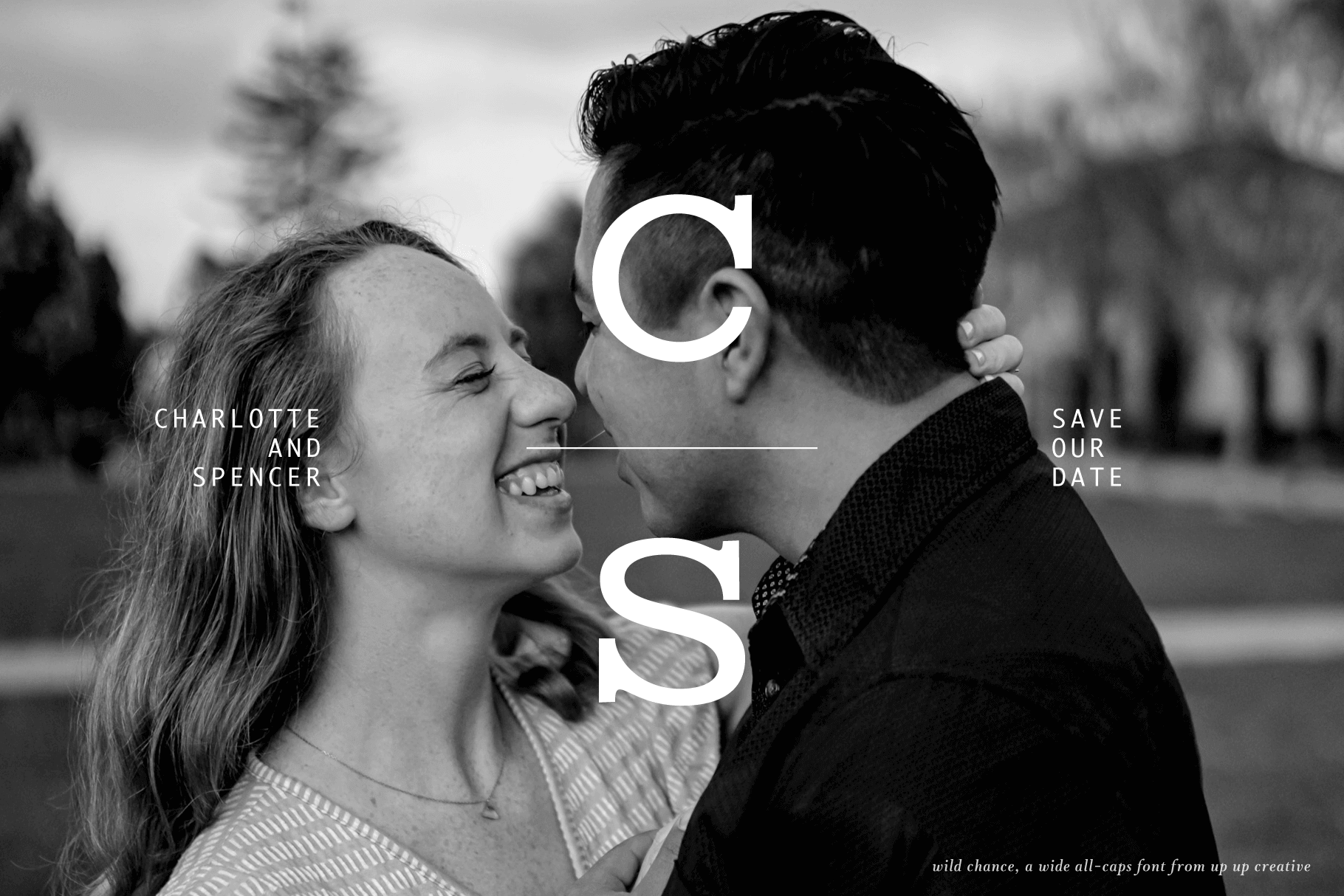 Wild Chance Complete Serif Font Family - Serif Font - Up Up Creative