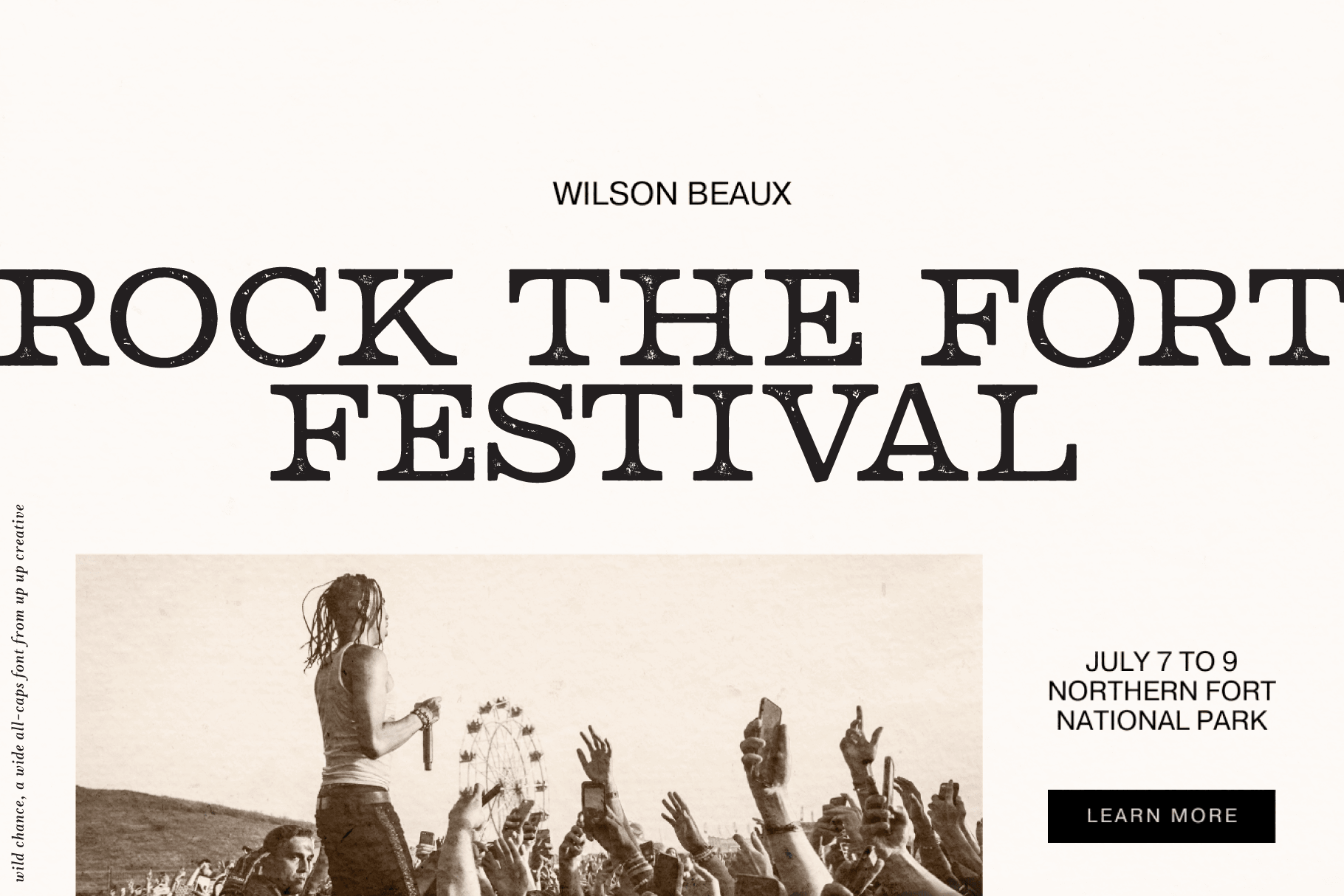 Wild Chance Complete Serif Font Family - Serif Font - Up Up Creative