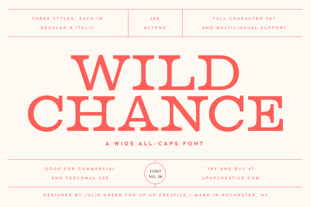 Wild Chance Complete Serif Font Family