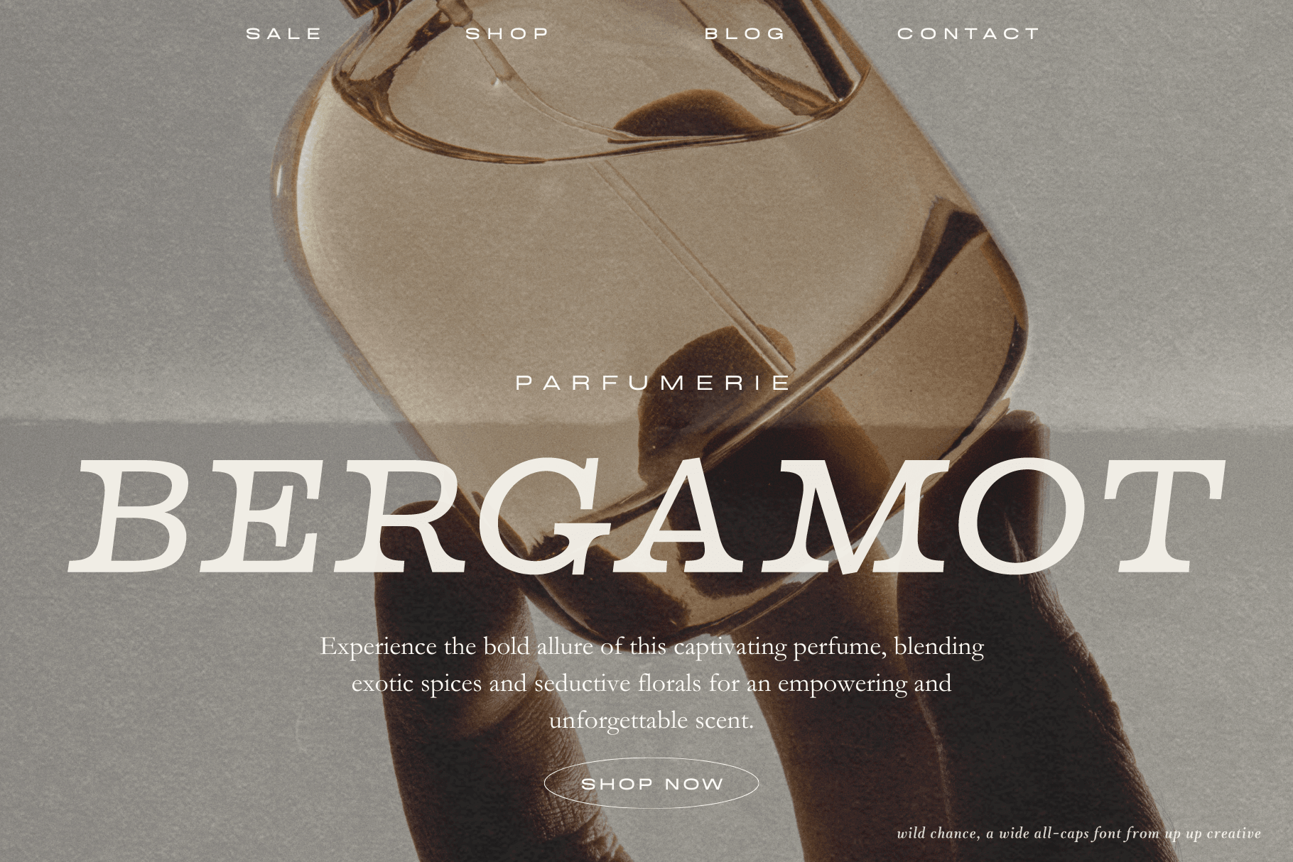 Wild Chance Complete Serif Font Family - Serif Font - Up Up Creative