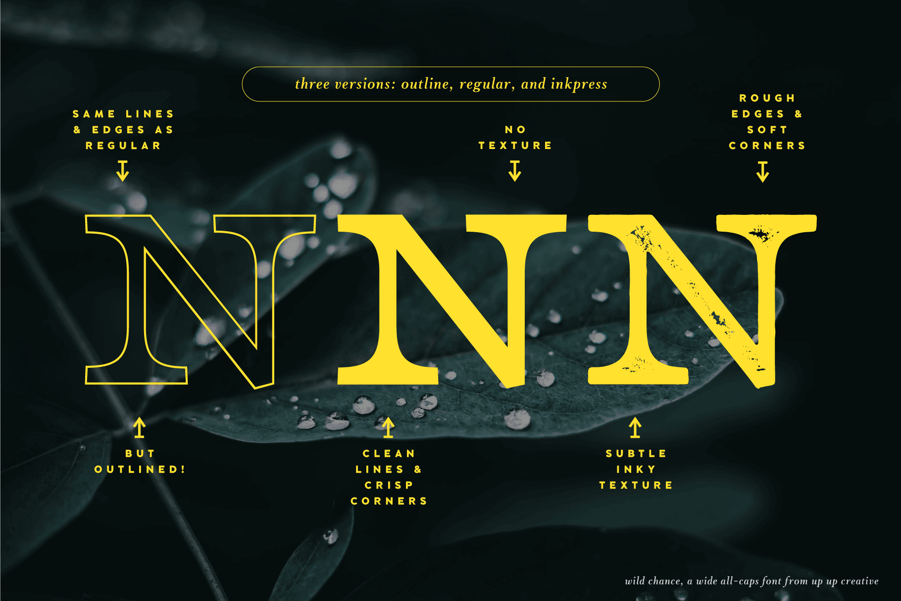Wild Chance Complete Serif Font Family - Serif Font - Up Up Creative