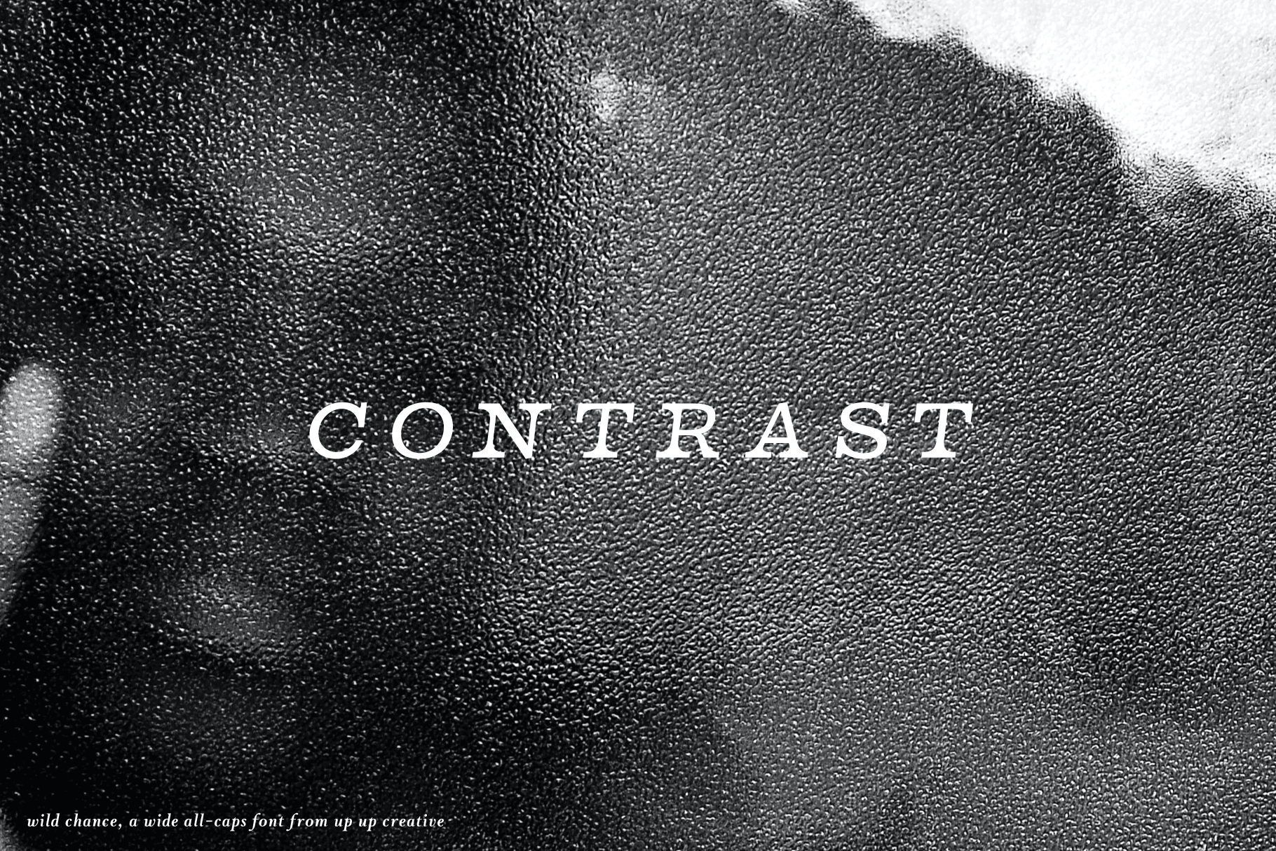 Wild Chance Complete Serif Font Family - Serif Font - Up Up Creative