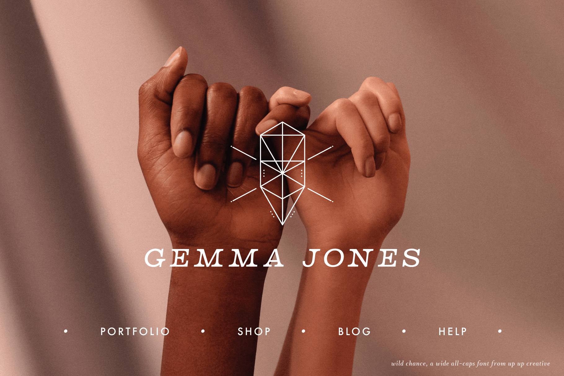 Wild Chance Complete Serif Font Family - Serif Font - Up Up Creative