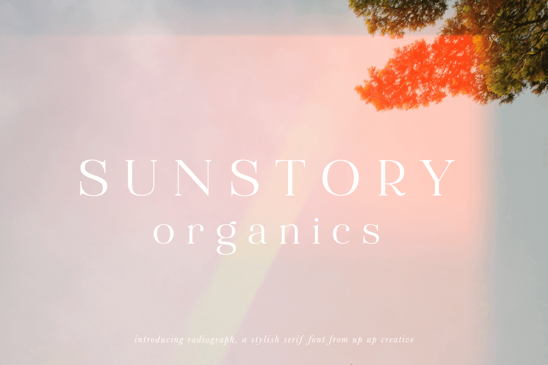 Radiograph Serif Font - Serif Font - Up Up Creative