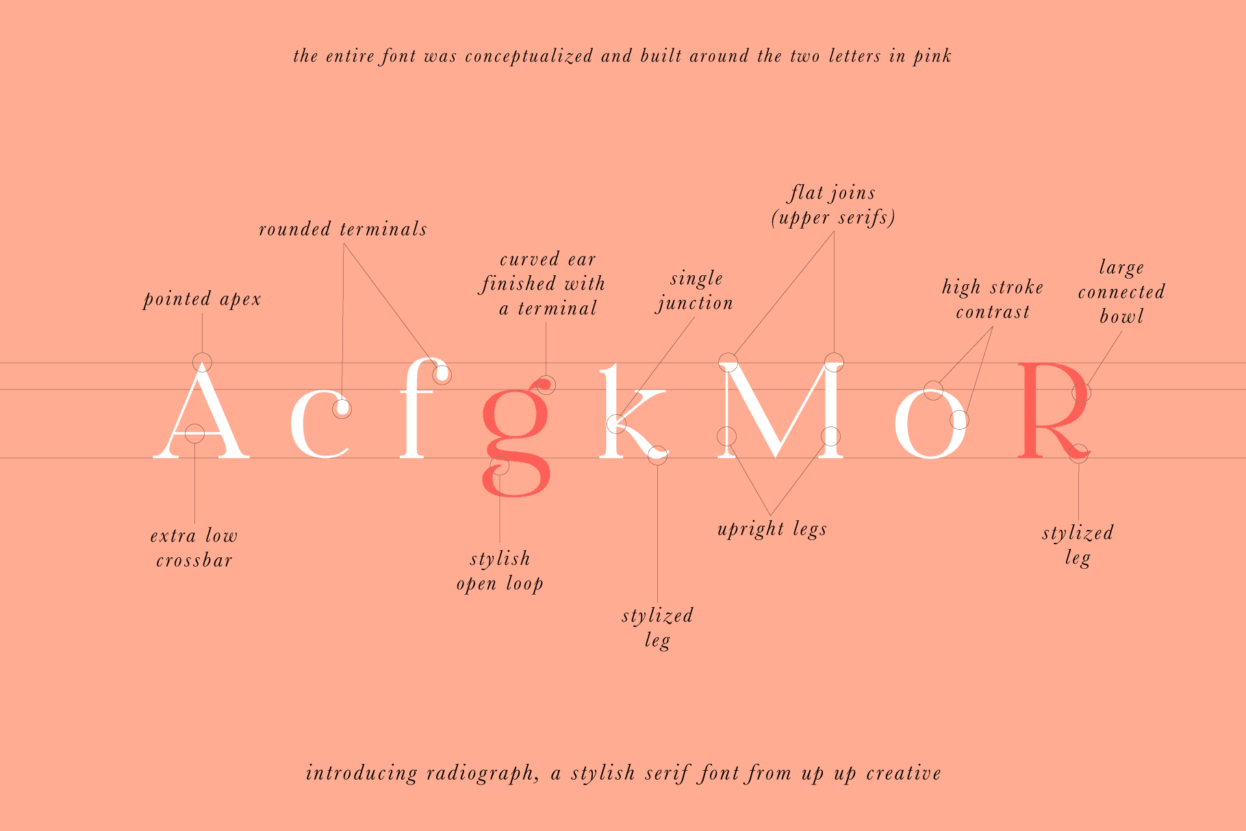 Radiograph Serif Font - Serif Font - Up Up Creative