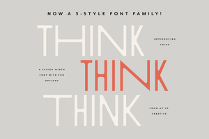 Think Sans Serif Font Family