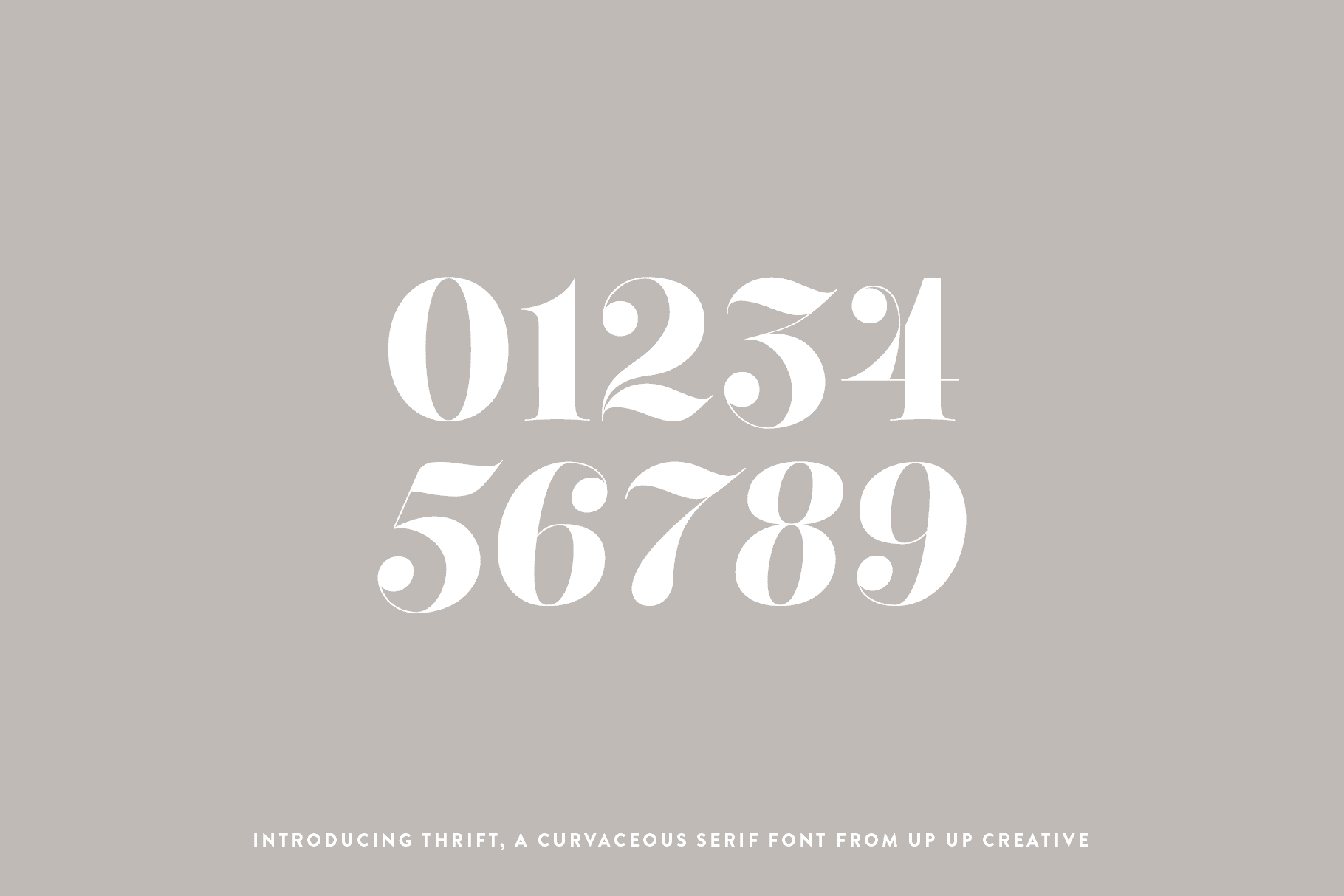Thrift Serif Font Family - Serif Font - Up Up Creative