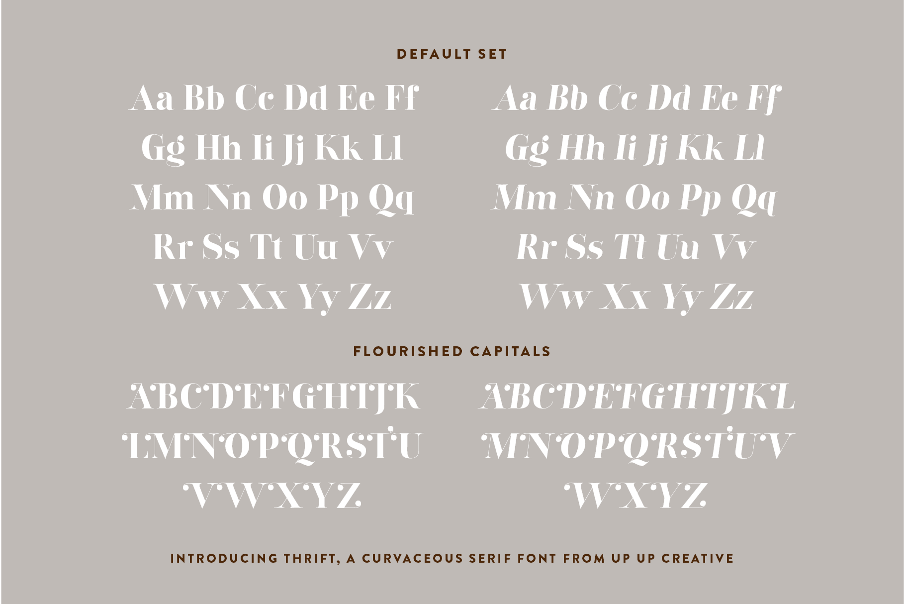Thrift Serif Font Family - Serif Font - Up Up Creative