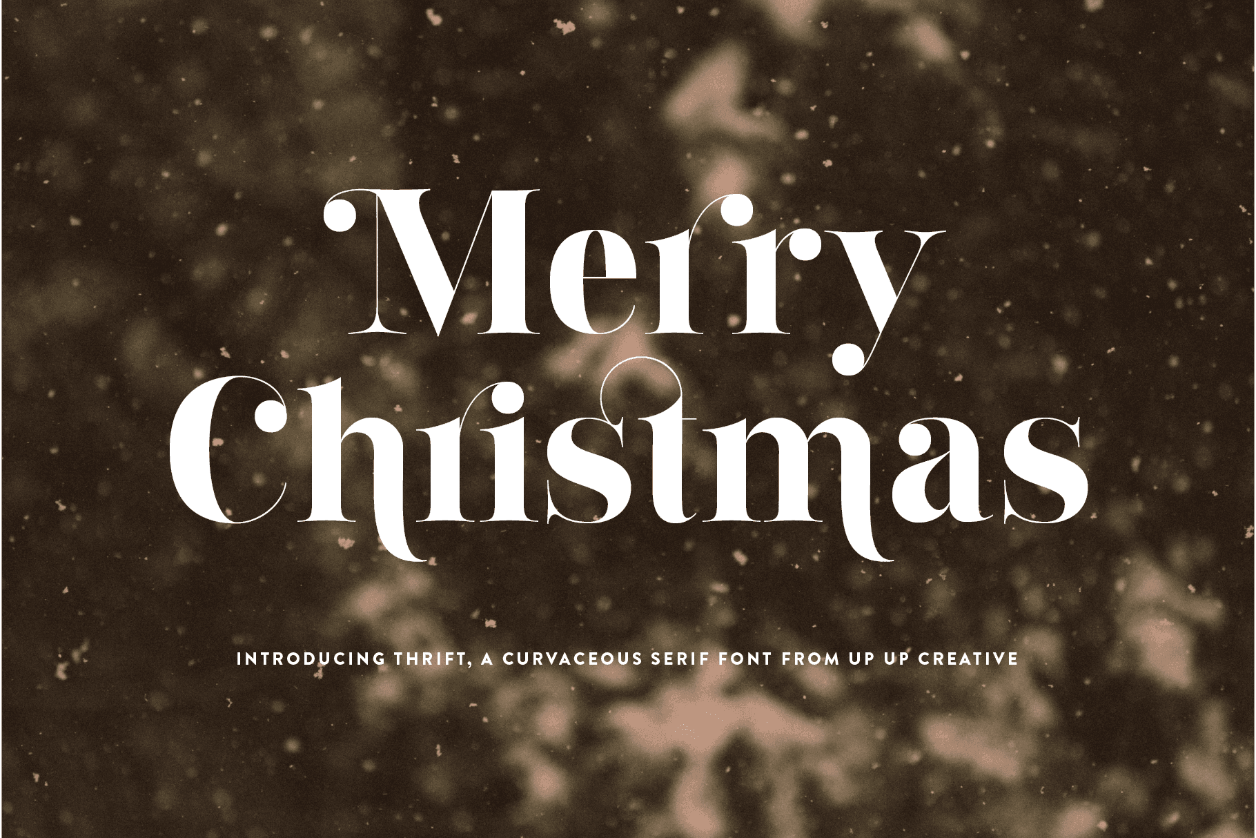 Thrift Serif Font Family - Serif Font - Up Up Creative