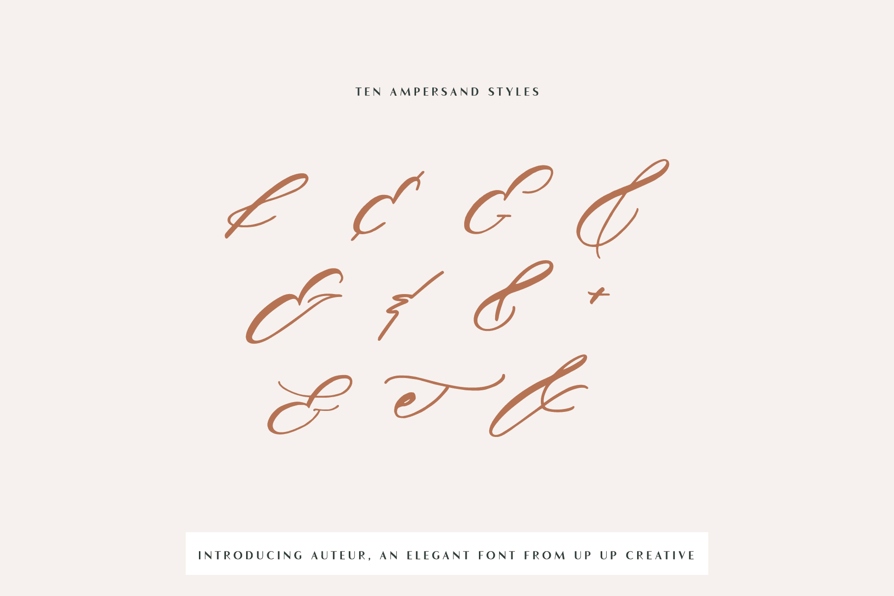 Auteur Script Font - A Calligraphy Font - Script Font - Up Up Creative
