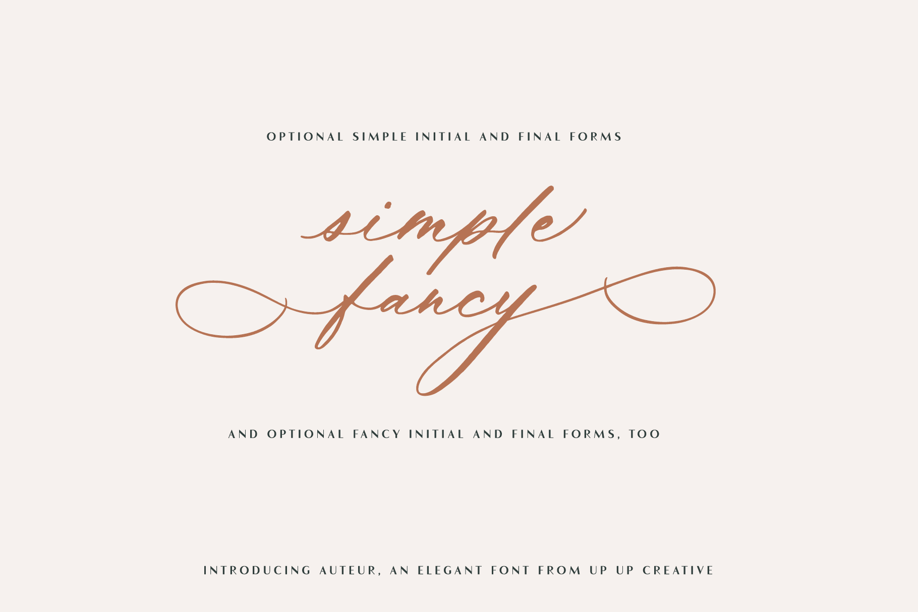 Auteur Script Font - A Calligraphy Font - Script Font - Up Up Creative