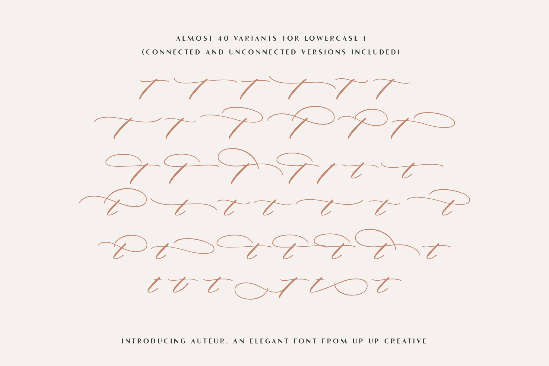 Auteur Script Font - A Calligraphy Font - Script Font - Up Up Creative