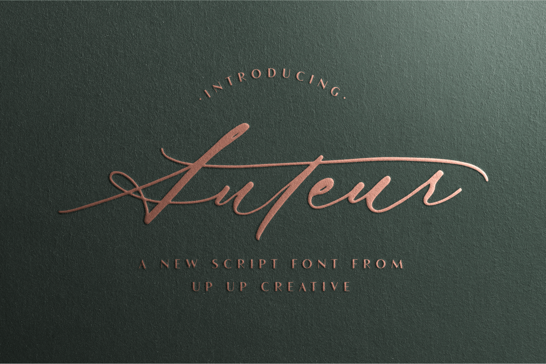 Auteur Script Font - A Calligraphy Font - Script Font - Up Up Creative