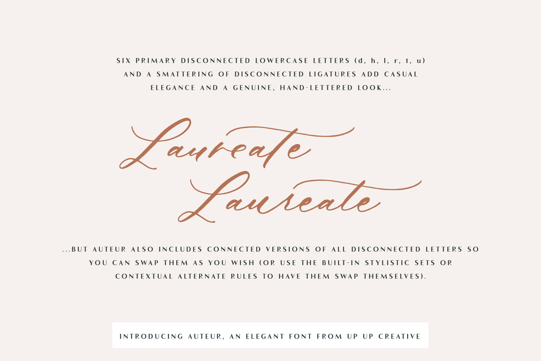 Auteur Script Font - A Calligraphy Font - Script Font - Up Up Creative