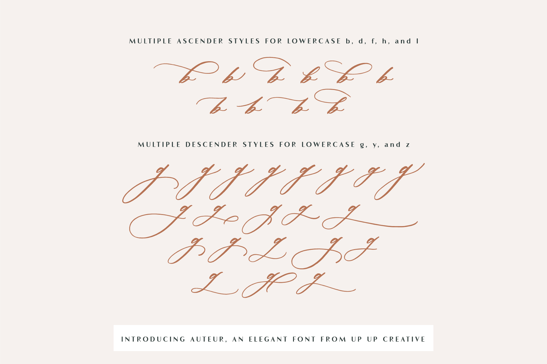 Auteur Script Font - A Calligraphy Font - Script Font - Up Up Creative