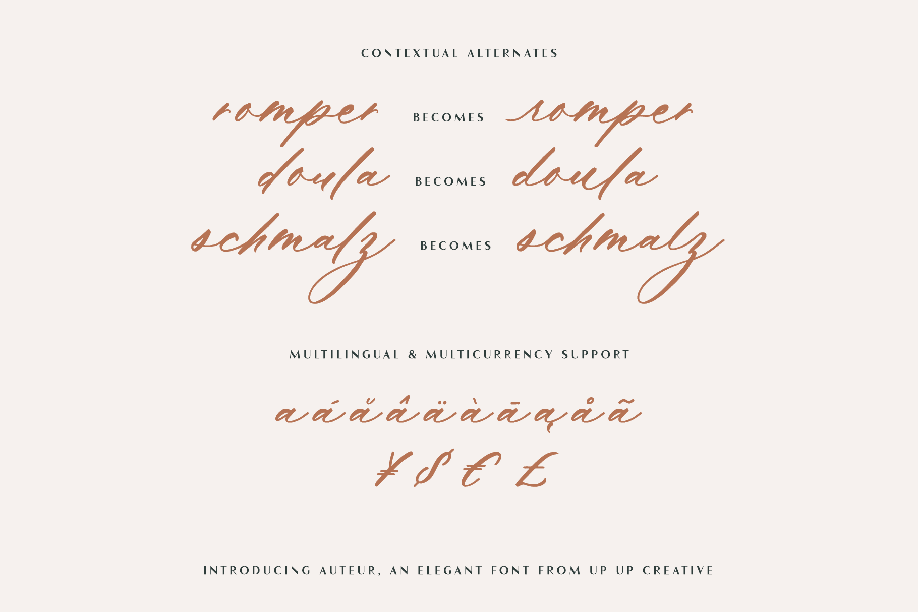Auteur Script Font - A Calligraphy Font - Script Font - Up Up Creative