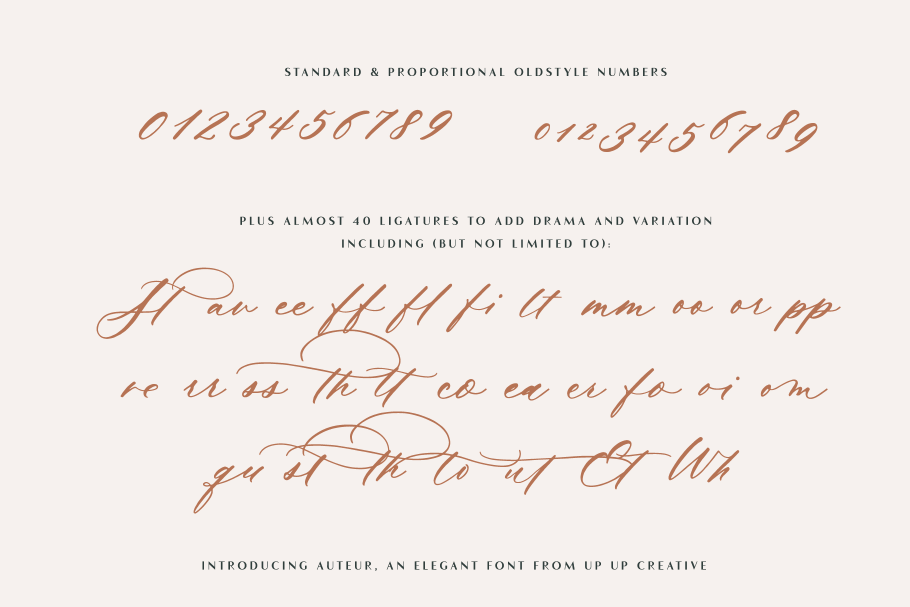 Auteur Script Font - A Calligraphy Font - Script Font - Up Up Creative