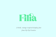 Filia Serif Display Font - Serif Font - Up Up Creative