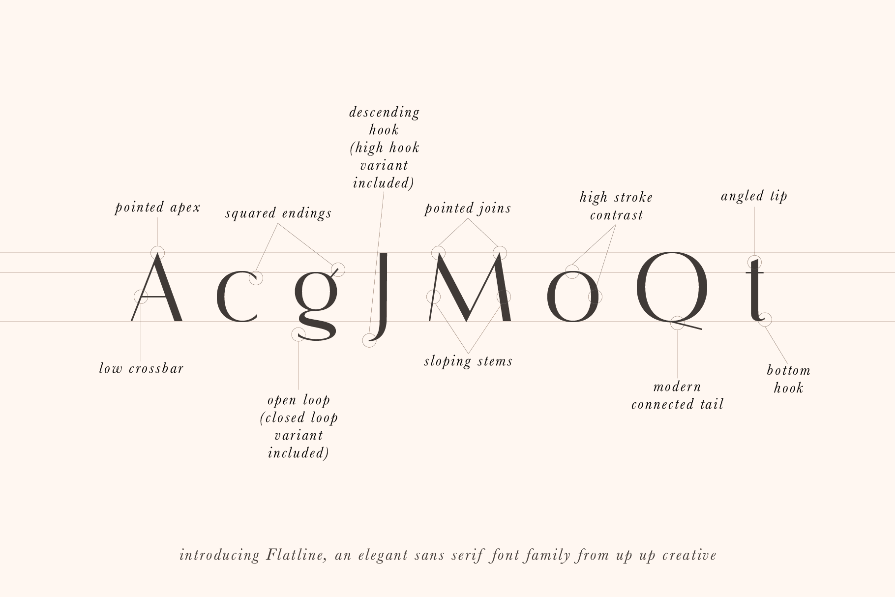 Flatline Sans Font Family - Sans Serif Font - Up Up Creative