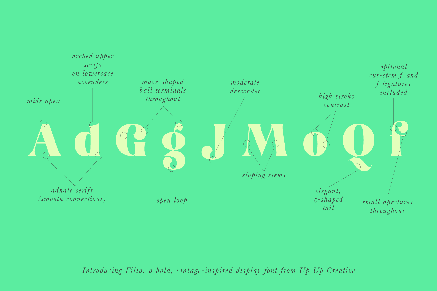 Filia Serif Display Font - Serif Font - Up Up Creative