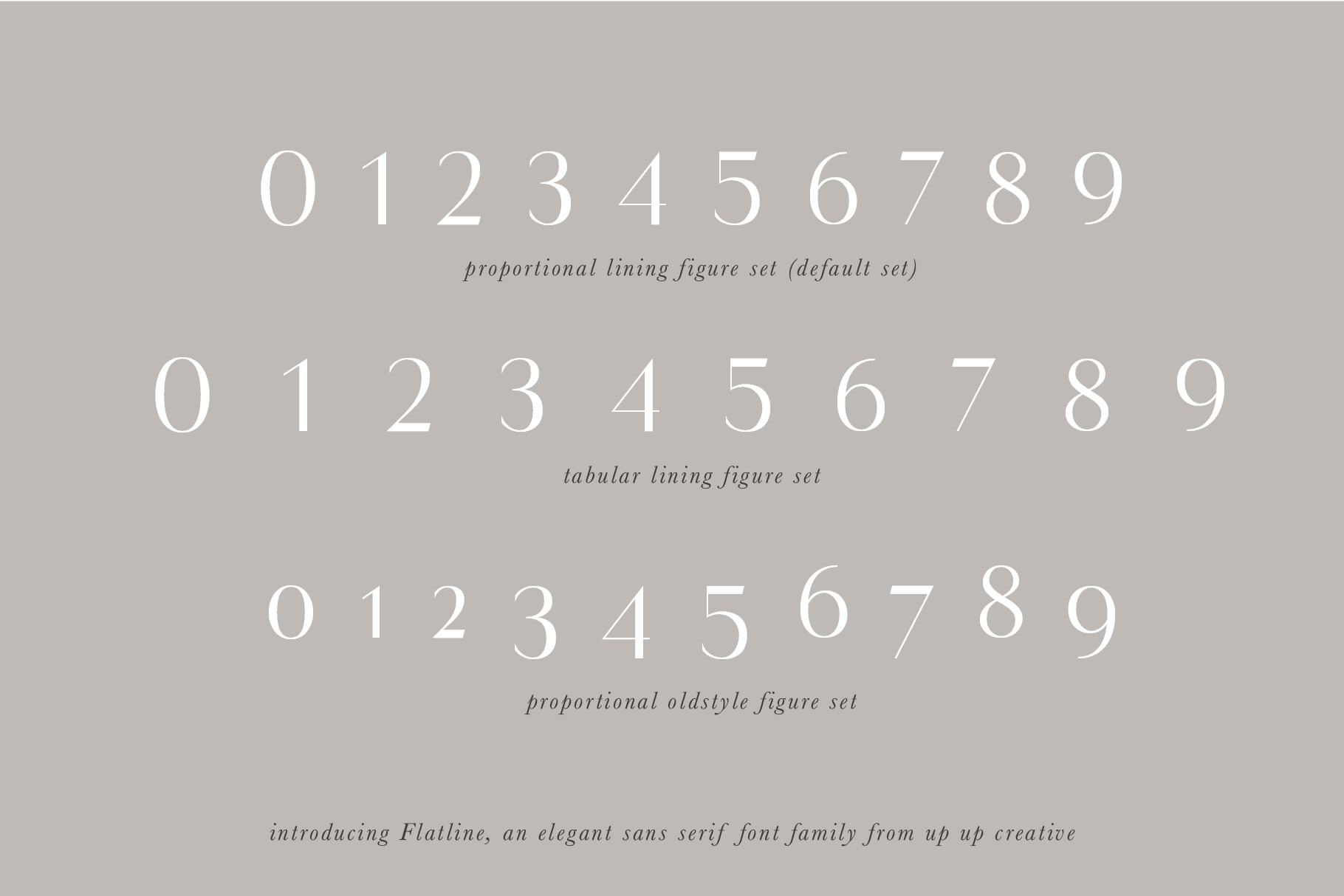 Flatline Sans Font Family - Sans Serif Font - Up Up Creative